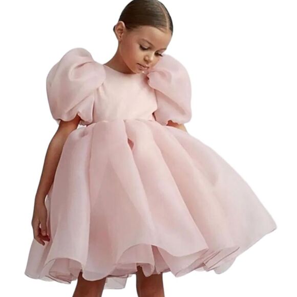 NNJXD | Blush | FLOWER GIRL PUFF SLEEVES ORGANZA DRESS - Picture 13 of 15